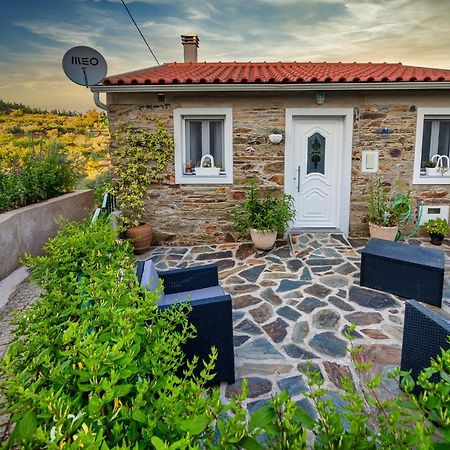 Sobrainho dos Gaios Casa Fundo Dos Palheiros 빌라 외부 사진